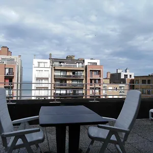 Dakstudio Met Reuze Zonneterras Appartement